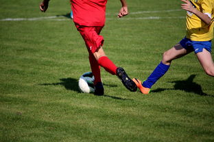 星空娱乐-中超球员比赛热度曲线与表现匹配模型，中超热身赛